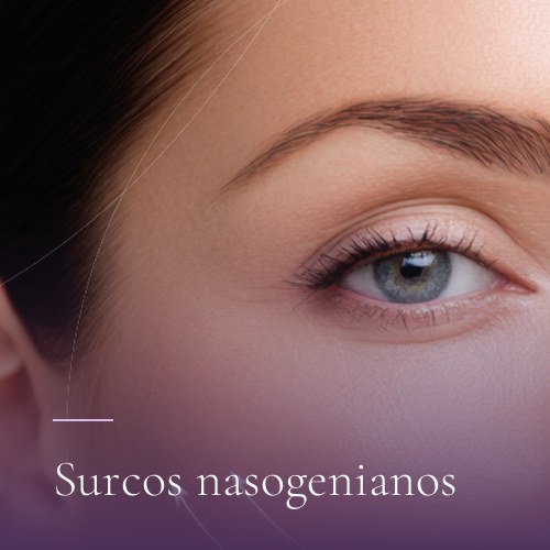 Surcos nasogenianos